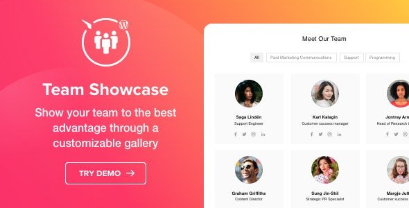 Team Showcase | WordPress Plugin